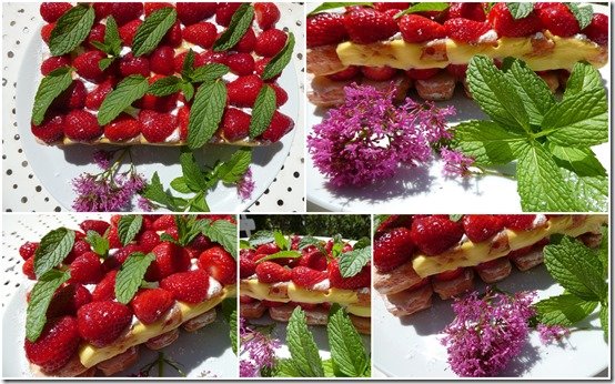 fraisier3